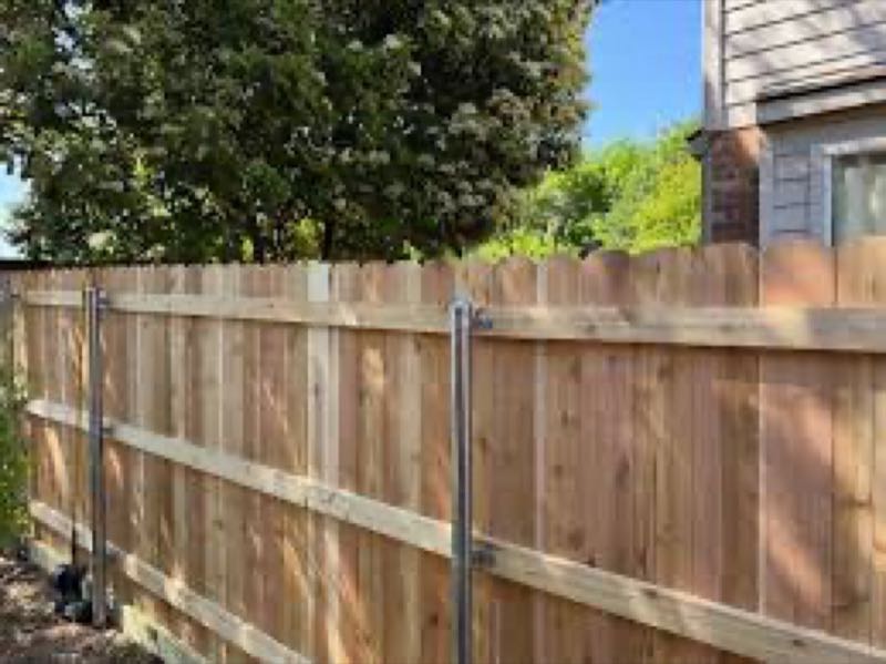 Cedar Privacy Fence in University Park